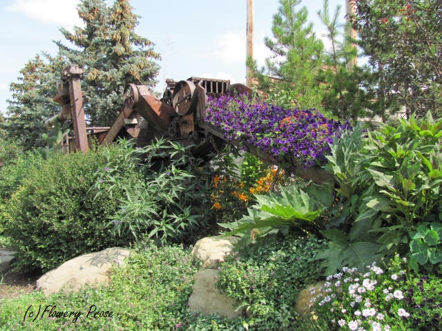 Threshing machine planter - Saskatoon Farm - Aug 12 FP