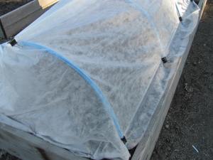 My hoop tunnel with row cover - BCG - 21 May 2014