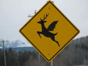 Winged deer sign - Bragg Creek - 8 April 2014