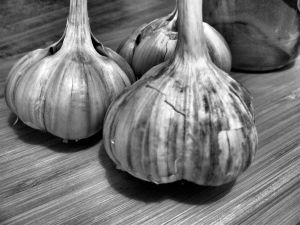 Garlic B&W
