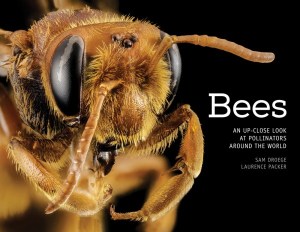 Bees-An-Up-Close-Look-at-Pollinators-Around-the-World-600x464