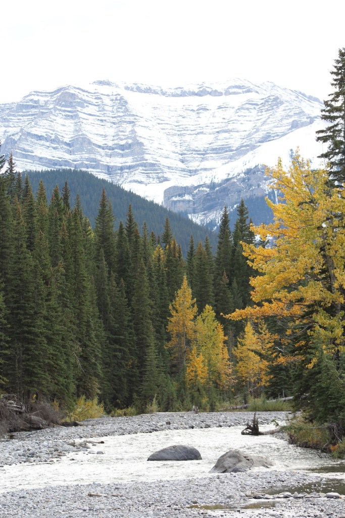 Sheep River Sept 2015