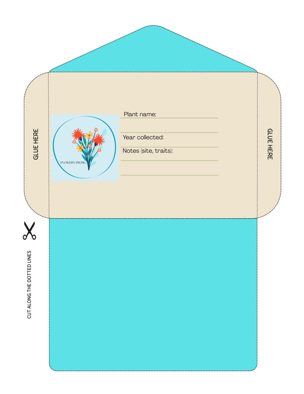Seed envelope template.